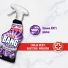 Cillit Bang Schimmelentferner 750ml Bad Küche Fliesen WC Produktbild-Vorschau 13