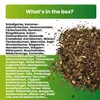 Greenyp Wildblumenmischung I 100g für 100m² I Produktbild-Vorschau 4