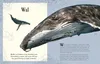 Wundervolle Welt der Tiere Produktbild-Vorschau 5