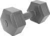 A single gray dumbbell is shown against a white background. Náhled obrázku produktu