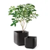 KETER Planter Wood Cube Planter - Rozmiar antracytowy. L Podgląd zdjęcia produktu 8