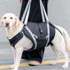 Hundetragehilfe XL für große Hunde, Reha-Geschirr mit Produktbild-Vorschau 7