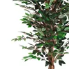 Deko Pflanze 160 cm - Modell: Ficus Produktbild-Vorschau 3