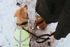 HUNTER Warnweste für Hunde, stufenlos verstellbar, wasser- Produktbild-Vorschau 5