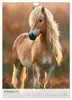 Stolze Haflinger Pferde (Wandkalender 2027 DIN A4 hoch), Produktbild-Vorschau 9
