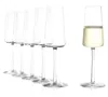 Stölzle Lausitz Set van 6 champagneglazen, model Power, Productafbeelding-voorbeeld 14