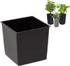 A large black square planter is shown in the foreground, with three smaller planters containing plants in the background. Náhľad obrázku produktu