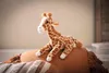Steiff Gina giraffa 25 marrone chiaro maculato 067631 Anteprima dell’immagine prodotto 2