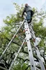 Escalera combinada de aluminio Hailo S100 ProfiLOT, de 3 Vista previa de la imagen del producto 21