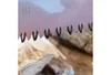 A close-up of a saw blade with teeth, positioned above pieces of wood. Anteprima dell’immagine prodotto