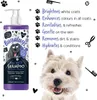 Bugalugs Hundeshampoo Maxi White 500 ml Produktbild-Vorschau 7