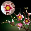 Äste mit Magonolien Blüten Produktbild-Vorschau 33