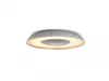 Philips Hue White Amb. Still plafonnier aluminium 2400lm DS Voir les images du produit 2