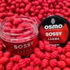 Wafters Osmo Mini Larva Sossy Náhľad obrázku produktu 2