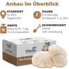 Hawlik Pilzbrut  Hericium-Kultur – Pilz des Jahres 2026, Produktbild-Vorschau 2