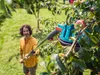 Gardena 3720-20, hliník, hliník, nastavitelný, odnímatelný, Náhled obrázku produktu 22
