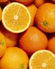 A close-up view of several oranges, some whole and some cut in half, filling the frame. Produktbild-Vorschau