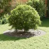 vidaXL, adatto per anelli di sostegno per alberi a basso Anteprima dell’immagine prodotto 3