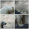 Bild auf Leinwand - Leinwandbild - Bär Tiere Wasser Eis - Produktbild-Vorschau 8
