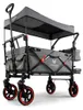 FUXLIFE by FUXTEC Bollerwagen FX-CT850 Komfort faltbar  Produktbild-Vorschau 2