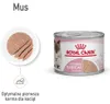 Royal Canin Cat – Mother & Babycat Laib Produktbild-Vorschau 11