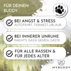 MYBUDDY Calm Relaxtabletten Hund Beruhigung mit Baldrian Produktbild-Vorschau 3
