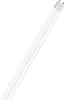 A single fluorescent tube light on a white background. Voir les images du produit