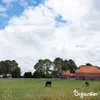 Getrockneter Kuhmist (Big Bag 1500 Liter – für 1500m2)- Produktbild-Vorschau 4