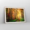 Gerahmtes Poster - Rahmen in heller Eiche - Wald Baum Natur Produktbild-Vorschau 8