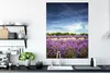MuchoWow® Poster Blauer Himmel über Lavendel in der Natur Produktbild-Vorschau 3