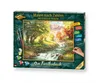 Noris Spiele Malen nach Zahlen - Forellenbach ; 609130412 Voir les images du produit 7