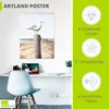 ARTland Poster Möwe Größe: 30x40 cm Produktbild-Vorschau 3