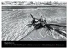 Strandspaziergang an der Ostsee (Wandkalender 2027 DIN A3 Produktbild-Vorschau 7
