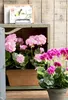 Mica Decorations Umělá rostlina Geranium v balkonovém boxu Náhled obrázku produktu 5