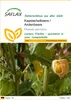SAFLAX - Kapstachelbeere / Andenbeere - 100 Samen - Produktbild-Vorschau 1