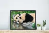 MuchoWow® MuchoWow® Gerahmtes Poster Panda - Steine - Produktbild-Vorschau 3