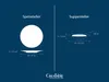 CreaTable, 24641, Polo Weiss, Tafelservice 12-tlg, Produktbild-Vorschau 6