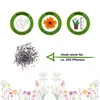 Petunien Einfache Mischung Samen - Petunia hybrida - Produktbild-Vorschau 2