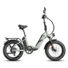 E-Bike FAFREES FF20 Polar - Batteria 48V24Ah Pneumatici Da Anteprima dell’immagine prodotto 3