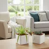 Leni KALEA cube Hydrokultur-Komplettset 2er-Pack 17 cm Produktbild-Vorschau 2