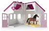 Paardenkliniek "Heilende Hufe" van de Horse Club Productafbeelding-voorbeeld 7