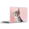 MuchoWow® Laptop Aufkleber Sticker Cover Kätzchen - Blau - Produktbild-Vorschau 1