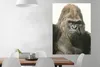 MuchoWow® Poster Sonnenstrahlen leuchten in den Augen des Produktbild-Vorschau 2