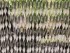 Zasłona okienna Siena Home "Molise", 90 x 210 cm, Podgląd zdjęcia produktu 5