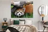 MuchoWow® Poster Roter Panda - Stamm - Gras 160x120 cm - Produktbild-Vorschau 4