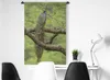 MuchoWow® Wandteppich Wandbehang Pfau - Federn - Baum Produktbild-Vorschau 4