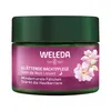 Weleda Wildrose Glättende Nachtpflege natürliche Produktbild-Vorschau 2
