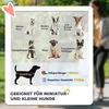 PawHut 2 v 1 skládací kočárek pro psy a kočky do 10 kg Náhled obrázku produktu 4