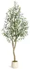Kunstplant Olijboom, 210 cm – Realistische plant voor Productafbeelding-voorbeeld 1
