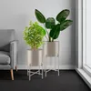 Pflanzenständer Mine 2-teilig, im Industrial Style Produktbild-Vorschau 8